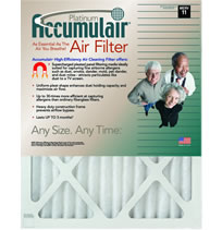 Accumulair Platinum 1 Inch Filters - MERV 11